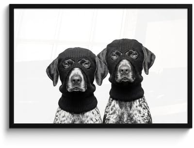 Poster in lijst - Fotolijst 90x60 cm - Posters - Honden - Bivakmuts - Zwart - wit - Posterlijst zwart - Decoratie - Wanddecoratie woonkamer - Muurdecoratie slaapkamer