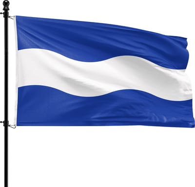 VlagDirect - Maassluis vlag - Gemeente Maassluis vlag - 90 x 150 cm.