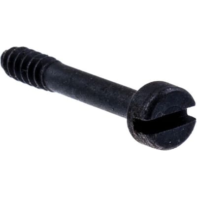 Screw