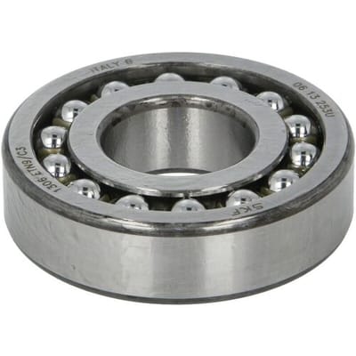 Wentellager SKF 1306 ETN9/C3