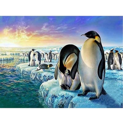 5D DIY Diamond Painting Penguin Full Drill Muursticker Strass Diamant Borduurwerk Woondecoratie 20X30CM black