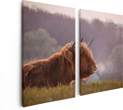 Artaza Canvas Schilderij Tweeluik Schotse Hooglander Koe Ligt In Het Gras - 80x60 - Foto Op Canvas - Canvas Print