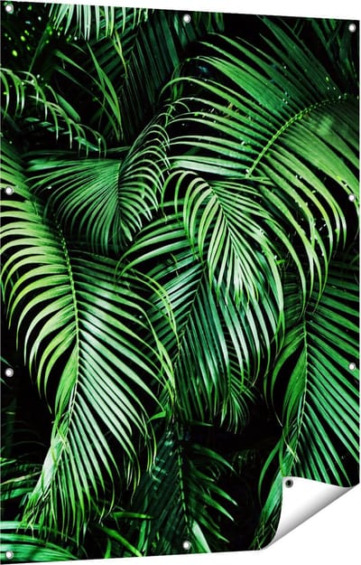 Gards Tuinposter Tropische Palm Bladeren - Groen - 90x120 cm - Tuindoek - Tuindecoratie - Wanddecoratie buiten - Tuinschilderij