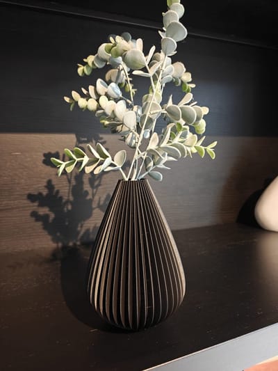 3D-geprinte Design Vaas Zwart – 17 cm Hoog – Moderne Duurzame Vaas voor Droogbloemen- moderne vaas – Vaas - Zwarte Vaas - Decoratieve Vaas -Handgemaakt Interieuraccessoire van Biologisch PLA