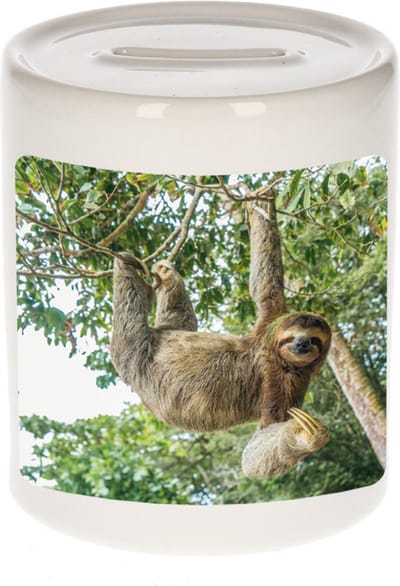 Dieren hangende luiaard foto spaarpot 9 cm jongens en meisjes - Cadeau spaarpotten hangende luiaard luiaarden liefhebber