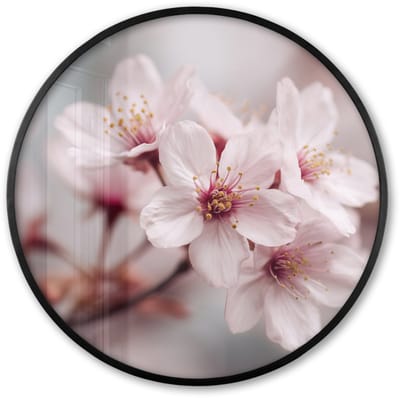 Poster in lijst Rond - Fotolijst 60x60 cm - Posters - Bloesems - Meeldraden - Geel - Wazig - Ronde posterlijst zwart - Decoratie - Wanddecoratie woonkamer - Muurdecoratie slaapkamer
