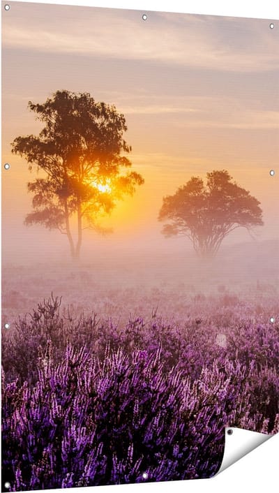 Gards Tuinposter Weide in de Veluwe bij Zonsondergang - 100x150 cm - Tuindoek - Tuindecoratie - Wanddecoratie buiten - Tuinschilderij