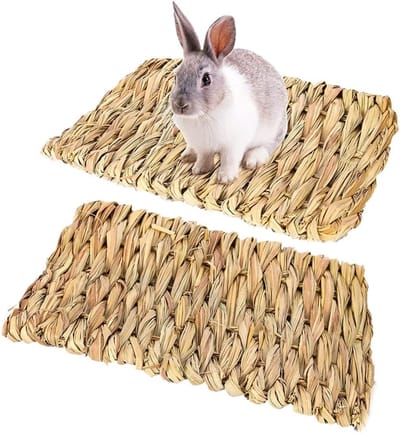 Famanu - 2 stuks Grasmatten voor konijnen en hamsters