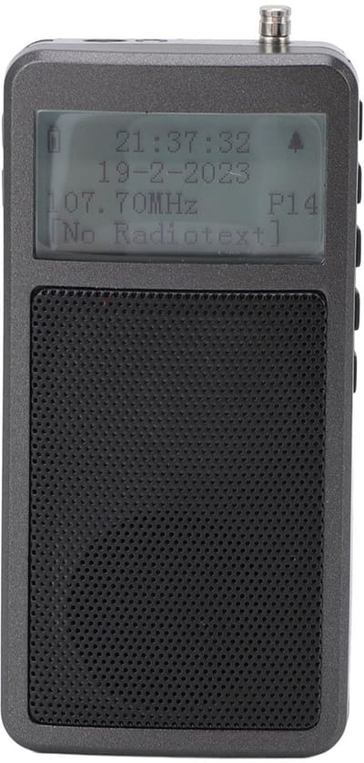 Dailygoods- FM Radio Draagbaar - Handheld Bluetooth Radio - 30 Opslagbare Stations - Oplaadbare Batterij - Stereo Geluidseffect - ABS Materiaal - Draagbare Radio
