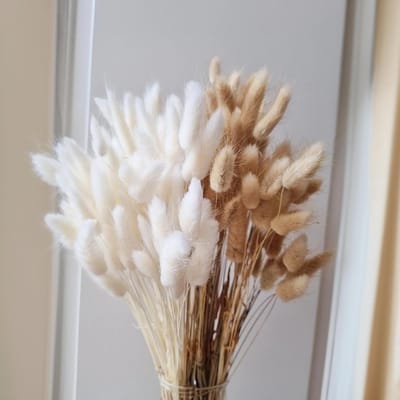 Allecta - Pampasgras, Klein Formaat 45 cm - 120 Stuks - Natuurlijke en Witte Kleur - Droogbloemenboeket voor Bruiloften, Huisdecoratie en Feesten