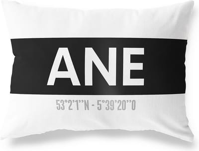 Tuinkussen ANE - OVERIJSSEL met coördinaten - Buitenkussen - Bootkussen - Weerbestendig - Jouw Plaats - Studio216 - Modern - Zwart-Wit - 50x30cm