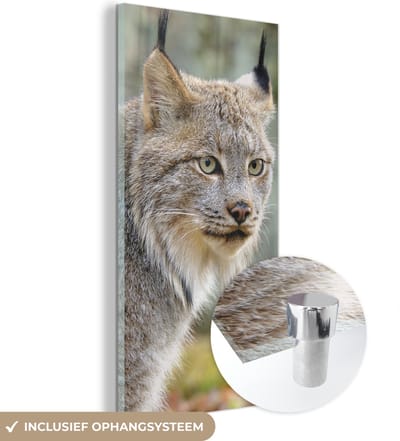 MuchoWow® Glasschilderij 20x40 cm - Schilderij acrylglas - Lynx - Bos - Grijs - Foto op glas - Schilderijen