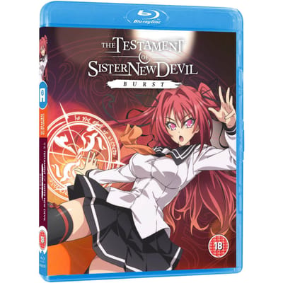Testament Of Sister New Devil: Burst