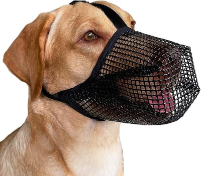Verstelbare en Ademend Hondenmuilkorf van Zacht Mesh voor Kleine en Middelgrote Honden, Voorkomt Bijten en Blaffen