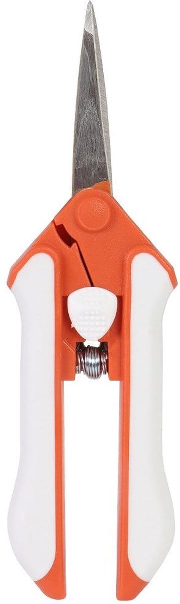 Talen Tools - Bloemenschaar - Koolstofstaal - Violet