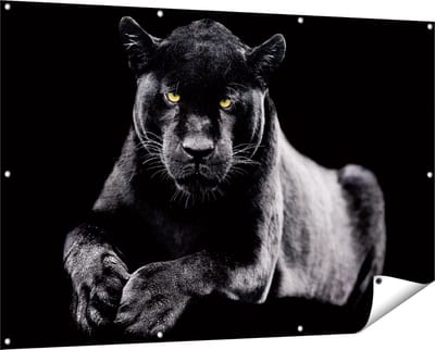 Gards Tuinposter Zwarte Panter - 150x100 cm - Tuindoek - Tuindecoratie - Wanddecoratie buiten - Tuinschilderij