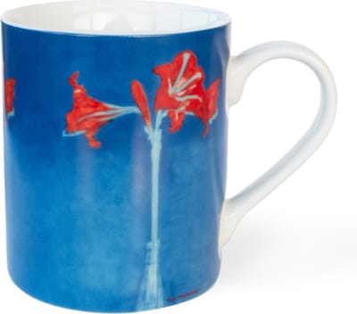 Mok, Piet Mondriaan, Amaryllis
