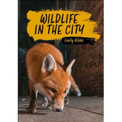 Reading Planet Ks2: Wildlife In The City - Earth/Grey - Reading Planet: Stars To Supernova - Emily Hibbs