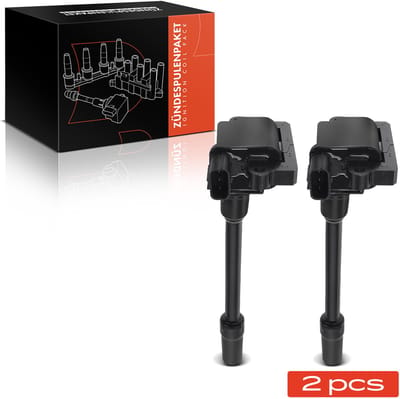 Frankberg 2x Ontstekingsmodule voor Mitsubishi
