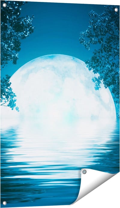 Gards Tuinposter Volle Maan in het Water - 60x90 cm - Tuindoek - Tuindecoratie - Wanddecoratie buiten - Tuinschilderij
