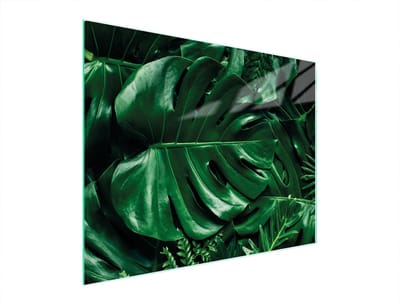 TMK ArtDeko - Glazen Snijplank - 52x40 cm - Monstera - Veilig en Duurzaam