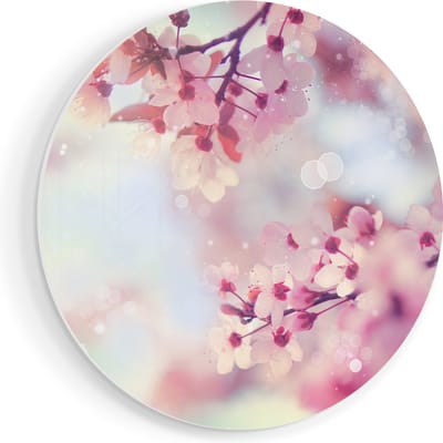 Artaza Forex Muurcirkel Roze Bloesemboom Met Zonneschijn - 50x50 cm - Klein - Wandcirkel - Rond Schilderij - Muurdecoratie Cirkel