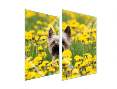 TMK ArtDeko Serie - Glazen Beschermplaat - 2x35x52 cm - Gehard Glas - Meerdere Toepassingen