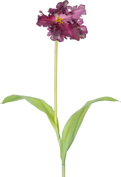 Easyplants | Kunstbloem Franse Parkiet Tulp 76 cm paars | Zijde | Nepbloemen | paars | Onderhoudsvrij | Kant-en-klaar
