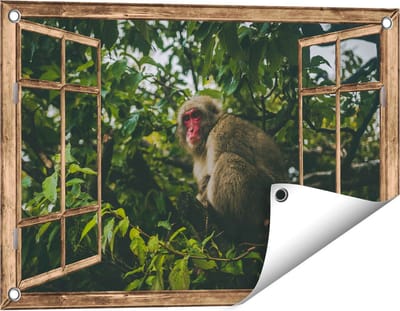 Gards Tuinposter Doorkijk Aap in de Boom tussen de Bladeren - 60x40 cm - Tuindoek - Tuindecoratie - Wanddecoratie buiten - Tuinschilderij