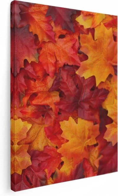 Artaza Canvas Schilderij Herfstblad - 30x40 cm - Klein - Muurdecoratie Natuur - Wanddecoratie Woonkamer - Schilderijen Op Canvas