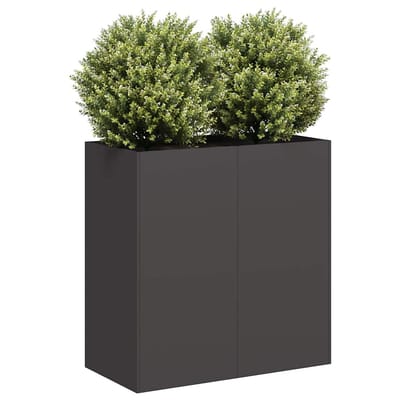vidaXL - Plantenbak - 80x40x80 - cm - koudgewalst - staal - zwart