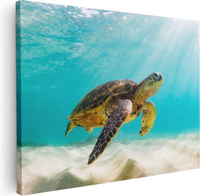 Artaza Canvas Schilderij Schildpad - 40x30 cm - Klein - Muurdecoratie Strand - Wanddecoratie Zee - Kamer Accessoires