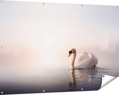 Gards Tuinposter Zwaan in het Water tijdens de Mist - 150x100 cm - Tuindoek - Tuindecoratie - Wanddecoratie buiten - Tuinschilderij