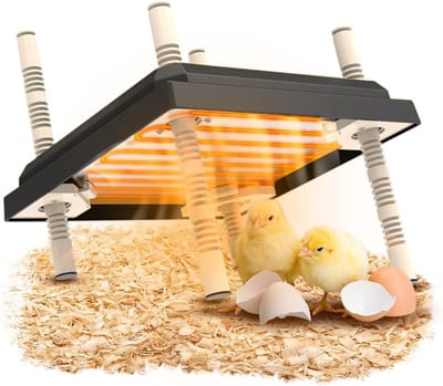 Verstelbare warmteplaat voor kuikens, comfortabel en in hoogte verstelbaar, 25 x 25 cm, verwarmingsplaat voor kippen, eenden en andere gevogelte.