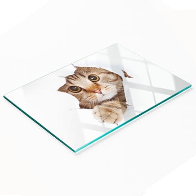 Duurzame en stijlvolle snijplank van gehard glas met kattenpatroon, 80x52 cm