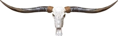 Longhorn skull echt gegraveerd flower
