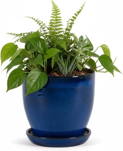 Plantenbak Aardewerk - Sierpot Onderzetter - Planten Verpotten - Vorstbestendig Glazuur - 23 cm - Blauw