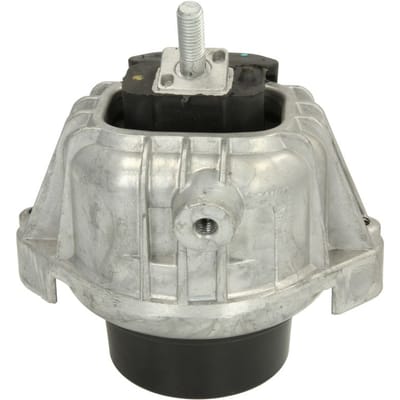 Motorsteun REINHOCH RH11-3033 links