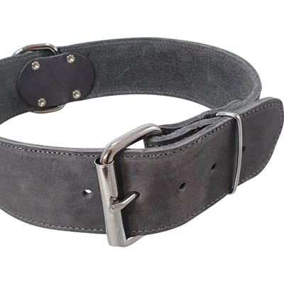 Extra grote hondenhalsband Nobby Pet Tabil