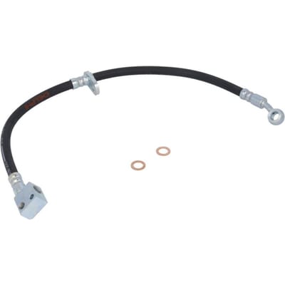 Remslang DELPHI LH6491