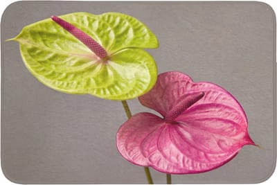 Badmat 90x60 cm - Antislip - Planten - Anthurium - Groen - Roze - Badmatten voor badkamer - Badkamermat - Douchemat - Badkamer mat