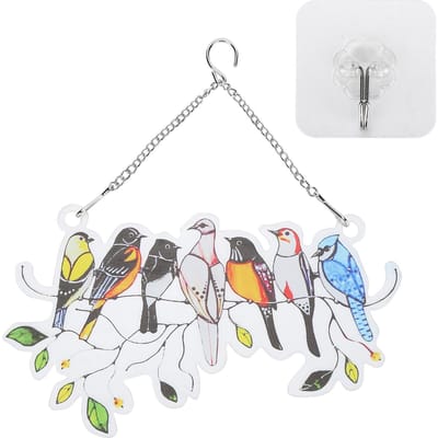 Vogels op een Draad Ornament Glas Raampaneel Zonenvanger Hangertjes met Ketting Cadeau voor Vogel Liefhebbers Irregularly shaped panels