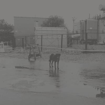 Nivhek - After Its Own Death / Walking In A Spiral Towards The House (2 LP)