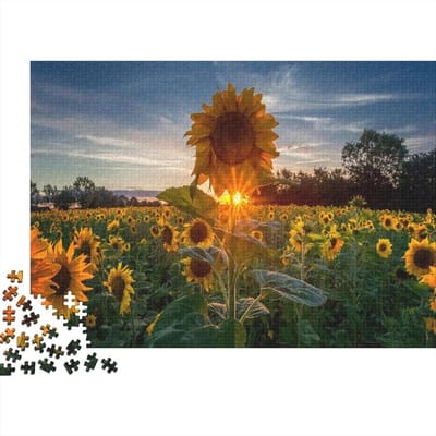 Puzzel 1000 Stukjes - Legpuzzel Volwassenen - Ontspannen Vrije Tijd - Bonus Poster Inclusief - 75x50 cm - Kleurrijk