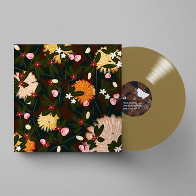 Bright Eyes - Noise Floor (Rarities: 1998-2005) (2 LP) (Coloured Vinyl) (Limited Edition)
