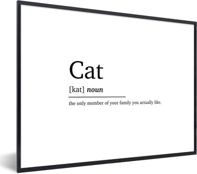Fotolijst incl. Poster - Quotes - Huisdieren - Cat - Spreuken - Woordenboek - Kat definitie - 40x30 cm - Posterlijst