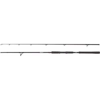 Spinhengel Abu Garcia Beast Pike 802H 40-90g