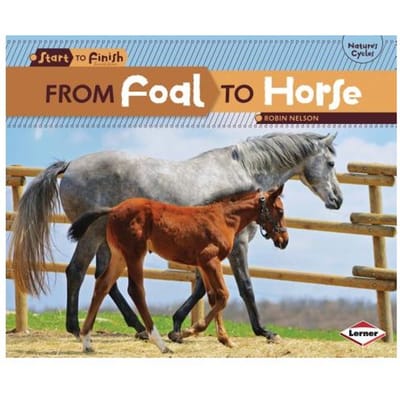 From Foal To Horse - Robin Nelson