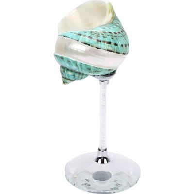 Verre à vin Coquille de conque Coquillage poli Unique Créatif Gobelet à boire Coupe pour boissons à cocktail pour Mariage Fête Bar vert