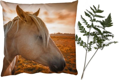Sierkussens - Kussentjes Woonkamer - 40x40 cm - Paard - Dieren - Portret